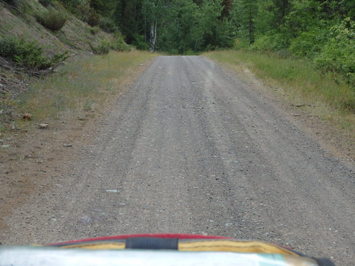 GDMBR: Southbound on NF-4370 (heading toward Richmond Peak, MT).